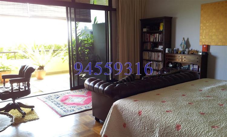 The Arcadia (D11), Condominium #138962562
